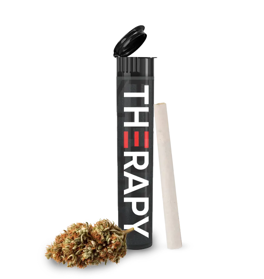 Therapy Cannabis preroll tube with flower and preroll on display